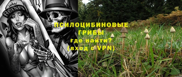 ALPHA PVP Иннополис