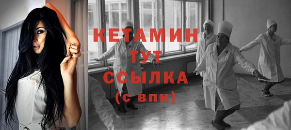 индика Каменногорск