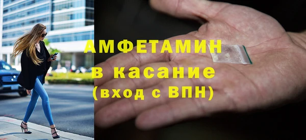 индика Каменногорск