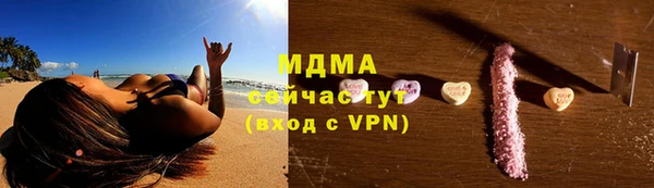 индика Каменногорск