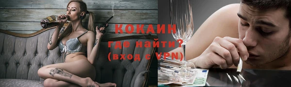 индика Каменногорск