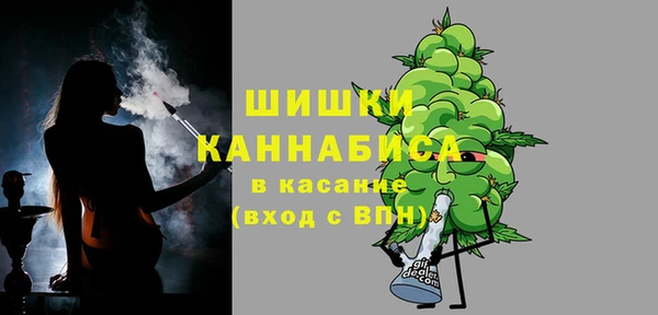 ALPHA PVP Иннополис