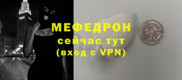 индика Каменногорск