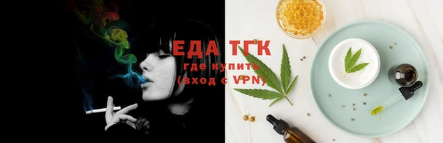 стаф Каменск-Шахтинский