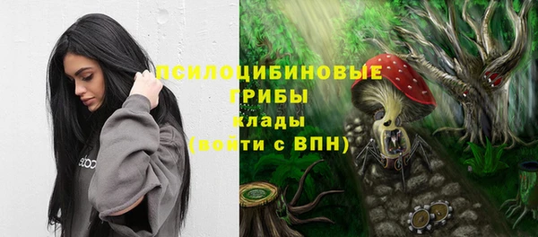 кокс Инта