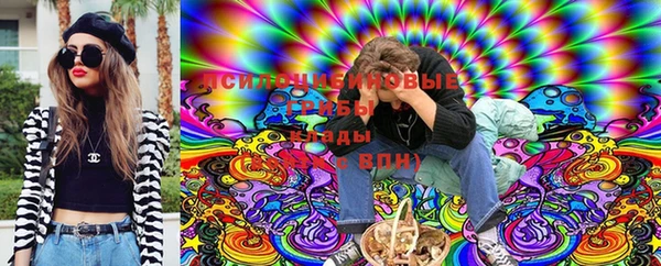 ALPHA PVP Иннополис
