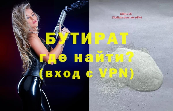 индика Каменногорск