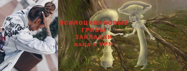 спиды Каменка
