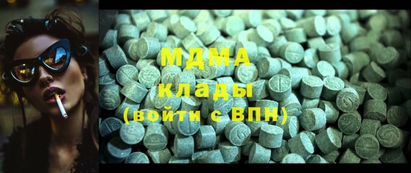 индика Каменногорск
