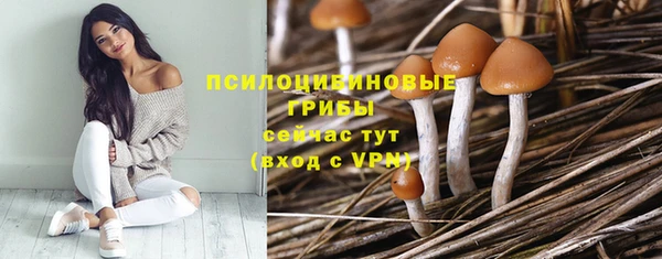 кокс Инта