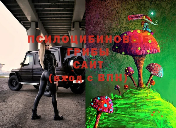 стаф Каменск-Шахтинский
