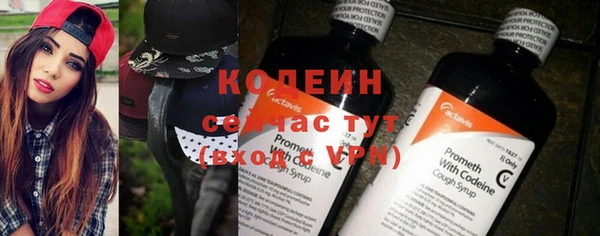 спиды Каменка