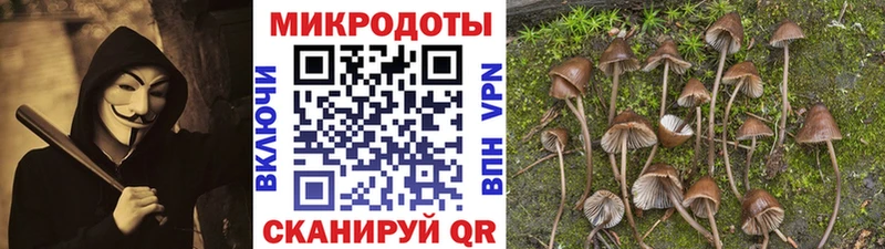Купить  Княгинино  Галлюциногенные грибы Magic Shrooms 